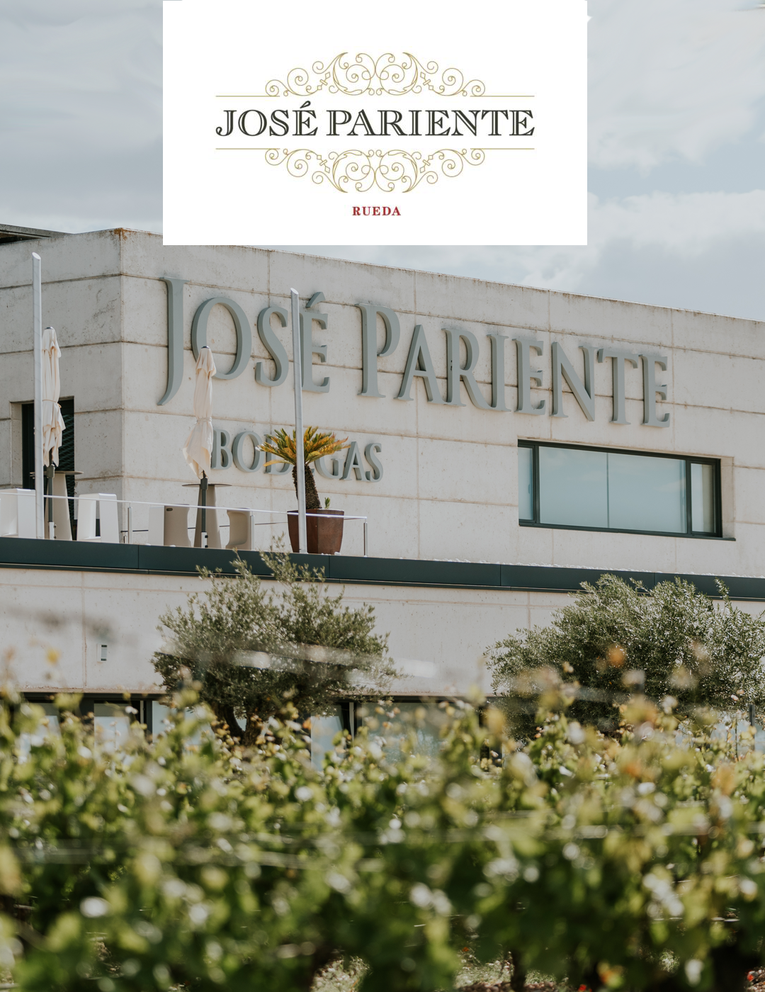 BODEGAS JOSE PARIENTE. RUEDA