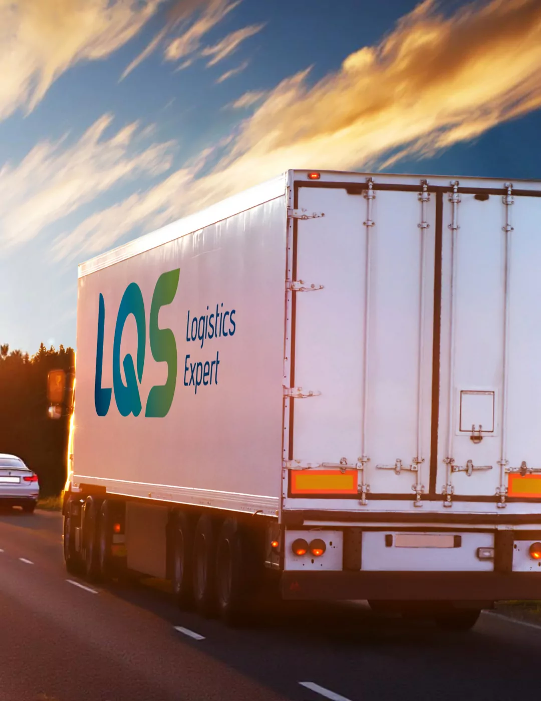 LQS Logistics expert