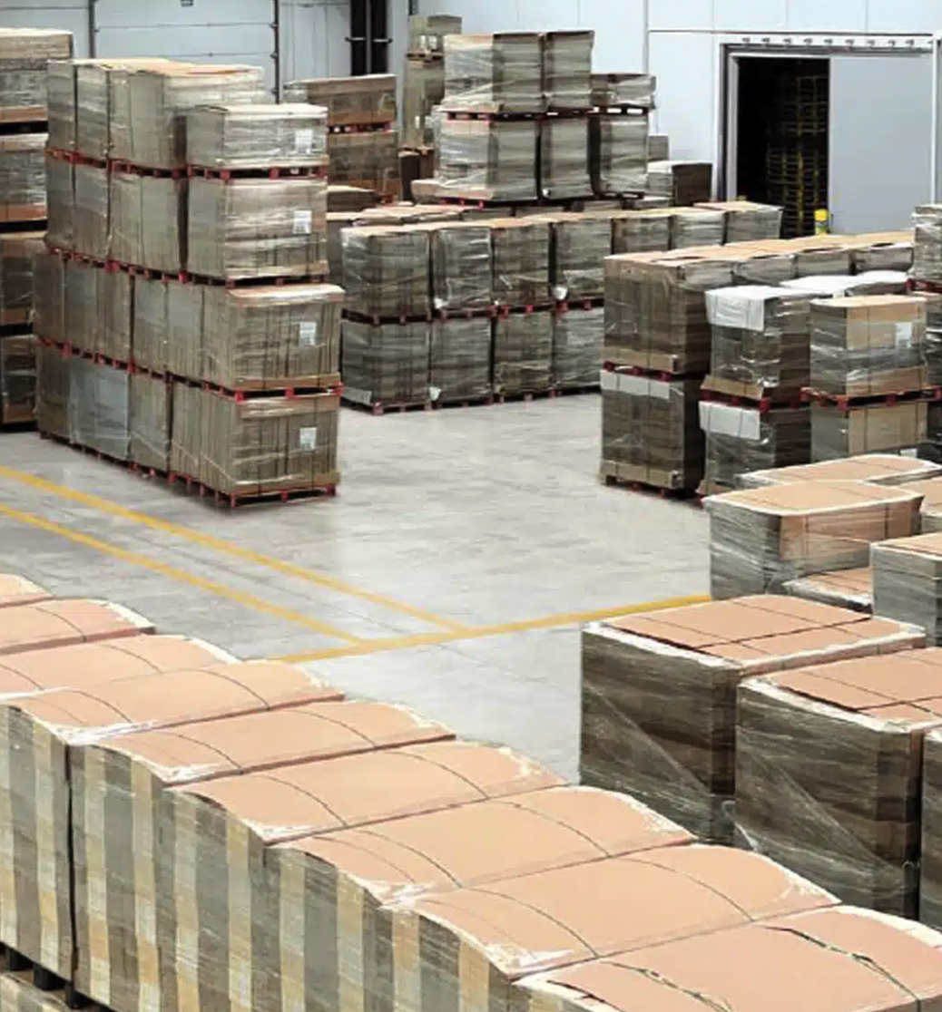 caso-exito-sector-cartones-sga