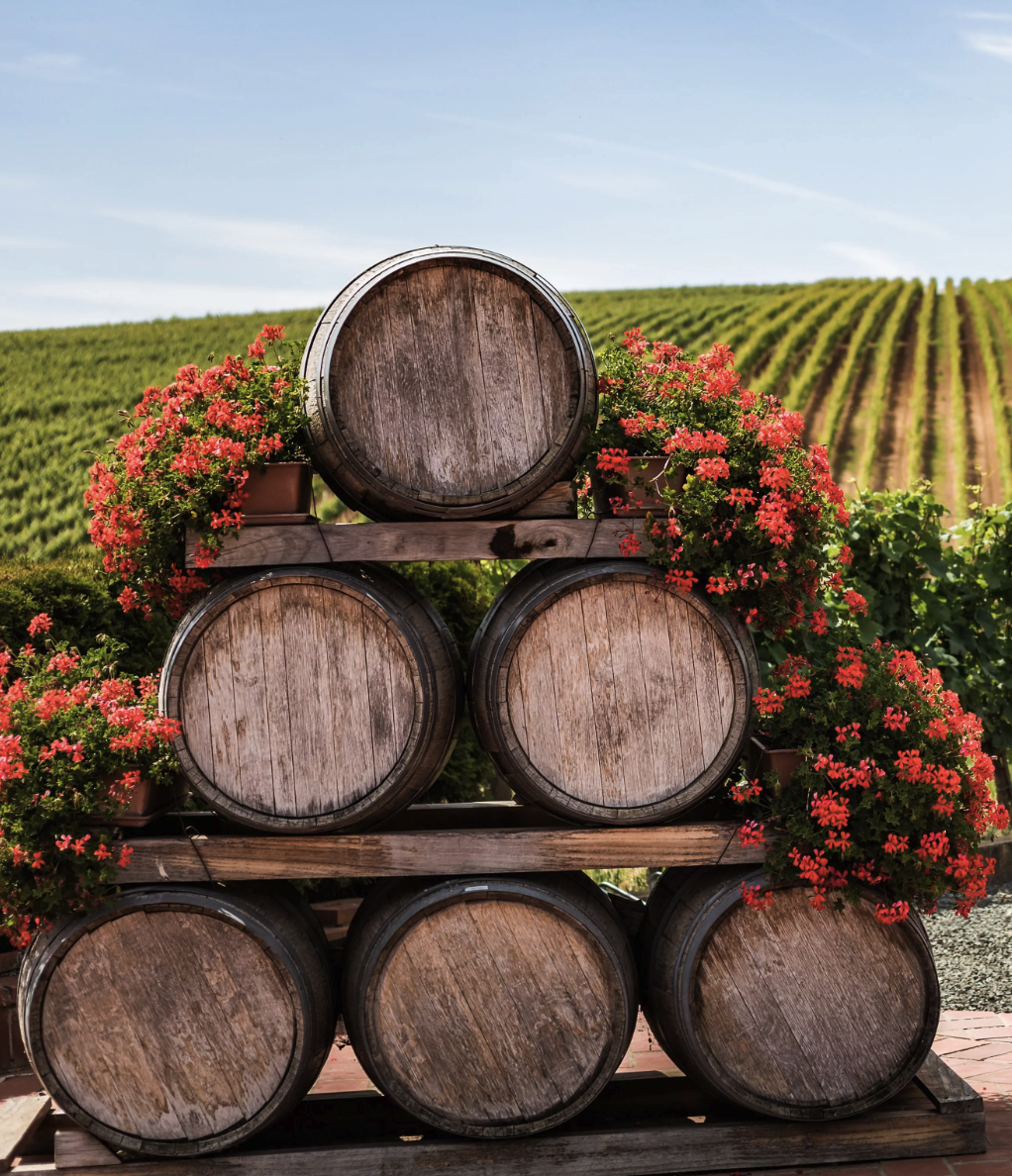 Soluciones-tecnologia-logistica-para-bodegas