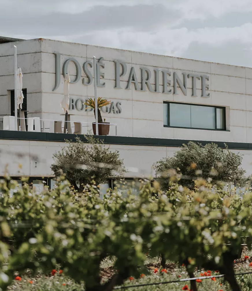 caso-exito-jose-pariente