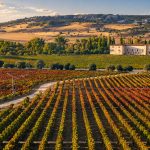 Vista aérea de la bodega Abadía Retuerta y sus viñedos en Sardón de Duero